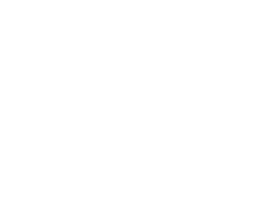 Wijnne Barends